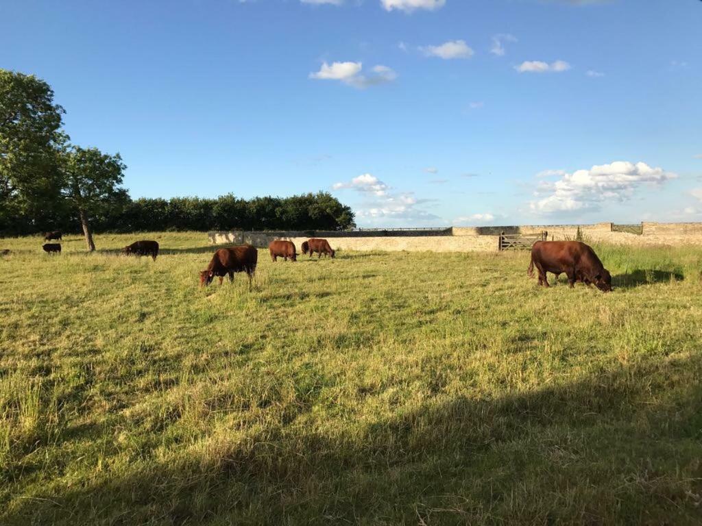 Cambridge Country Cottages Екстер'єр фото